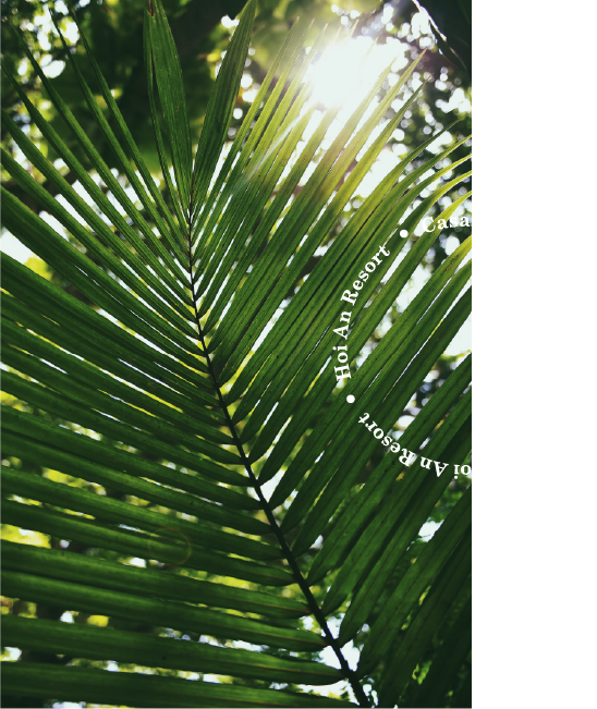 Leaf